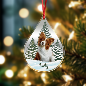 Custom Dog Cat Photo Christmas Acrylic Ornament TH10 896113