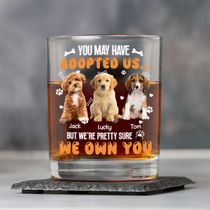 Custom Photo You May Have Adopted Us But We're Pretty Sure We Own You Rock Glass For Dog Lovers Cat Lovers CH07 895616