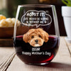 Custom Photo Admit it! Life Would Be Boring Without Me Dog Cat Wine Glass HA75 892250
