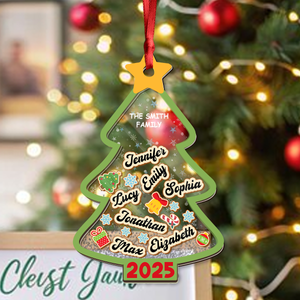Custom Christmas Tree With Names Personalized Shaker Ornament Christmas Gift For Family CH07 896910