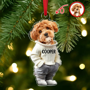 Custom Photo Cool Dog Cat Acrylic Ornament Gift For Dog Cat Lovers HA75 897146