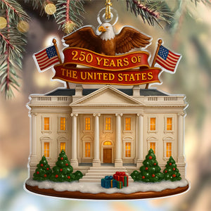 250 Years Of The US Acrylic Ornament TH10 894945