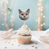 Custom Photo Funny Cat Funny Personalized Decoration Cupcake Toppers HA75 891988
