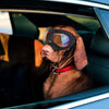 GeckoCustom Cool Dog Sun Glasses UV Protection Windproof Goggles Pet Eye Wear Dog Swimming Skating Glasses Pet Accessories