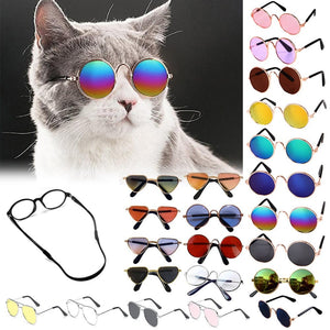 GeckoCustom Cool Funny The Kitten Sunglasses