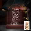 GeckoCustom Custom Cat Photo Pencil Drawing With Name For Cat Lovers Acrylic Plaque LED Night Light LM32 893031 Acrylic / 7.9"x4.5"