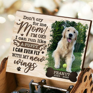GeckoCustom Custom Photo I Can Run With My New Wings Dog Cat Memorial Music Box HO82 893500