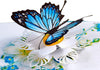 GeckoCustom CUTPOPUP Hummingbird Birthday Card Pop Up, Mothers Day, Fathers Day, 3D Popup Greeting Card, Birthday Card for Women (Hummingbird Sunflower) Butterfly Pop Up Card
