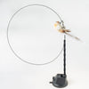 GeckoCustom Handfree Bird/Feather Cat Wand with Bell Powerful Suction Cup Interactive Toys for Cats Kitten Hunting Exercise Pet Products Hibiscus Bird Set