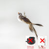 GeckoCustom Handfree Bird/Feather Cat Wand with Bell Powerful Suction Cup Interactive Toys for Cats Kitten Hunting Exercise Pet Products Replacement 05 Only