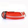 GeckoCustom LED Glowing Dog Collars Rechargeable Waterproof Luminous Collar Adjustable Dog Night Light Collar Pet Dog Safety Necklace Red battery / XS neck 28-40cm