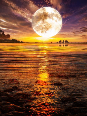 GeckoCustom New DIY 5D Diamond Painting Moon Tree Full Round Mosaic Landscape Flower Diamond Embroidery Art Rhinestone for Home Decor FDX29 / 20x30cm