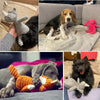 GeckoCustom Plush Dog Toy Animals Shape Bite Resistant Squeaky Toys Corduroy Dog Toys for Small Large Dogs Puppy Pets Training Accessories