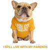 GeckoCustom Summer/Spring Dog Clothes Quality Breathable Pet Clothing Soft Letters Printed French Bulldog Clothes for Small Dogs T-shirt Yellow A / S