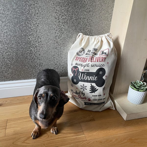 Custom Photo Speacial Delivery For Your Dog Christmas Gift Bag TH10 896989