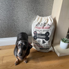 Custom Photo Speacial Delivery For Your Dog Christmas Gift Bag TH10 896989