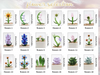 Glass Plant Pot, Personalized Name Mini Glass Flower, Teacher Appreciation Desk Table Decoration TH10 170207