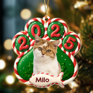 Custom Cat Photo Paw Christmas Acrylic Ornament For Cat Lovers HA75 898376