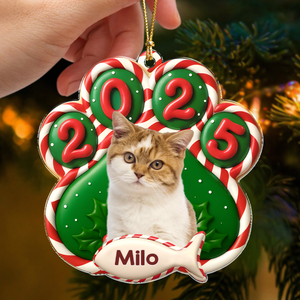 Custom Cat Photo Paw Christmas Acrylic Ornament For Cat Lovers HA75 898376