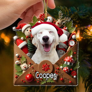 Custom Photo Letter To You 3D Effect Dog Acrylic Ornament HO82 900556