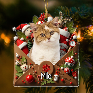 Custom Photo Letter To You 3D Effect Cat Acrylic Ornament Personalized Gift For Christmas HO82 900554