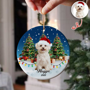 Custom Pet Photo - Personalized Christmas Ceramic Ornament For Pet Lovers CH07 899690