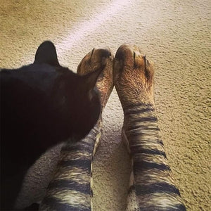 Funny Novelty Animal Paw Socks Personalized Gift For Christmas HO82 900470