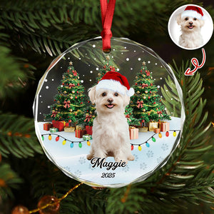 Custom Pet Photo - Personalized Christmas Glass Ornament For Pet Lovers CH07 899692