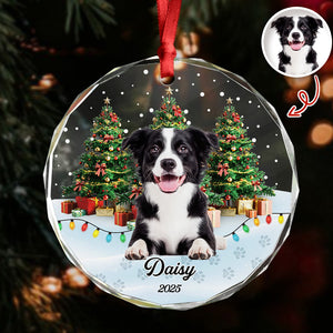 Custom Pet Photo - Personalized Christmas Glass Ornament For Pet Lovers CH07 899692