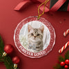 Custom Photo Forever Loved Christmas Glass Ornament Memorial Gift For Cat Lovers TH10 896405