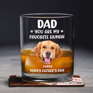 Custom Funny Face Dog Cat - Dad, You’re My Favorite Human Rock Glass HA75 892418