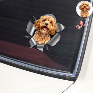 Custom Dog Photo Car Window Decal Sticker HA75 898160