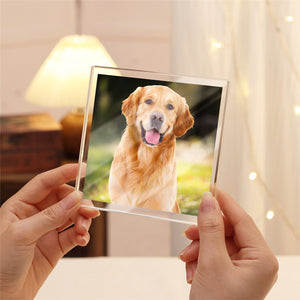 Custom Photo Dog Memorial Wooden & Acrylic Photo Block Set Gift For Dog Loss CH07 896232