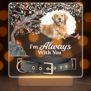Custom Photo Your Light Will Always Shine In My Heart Memorial Acrylic Collar Frame TH10 894093