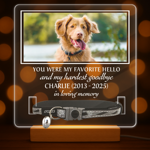 Custom Photo You Were My Favorite Hello Memorial Acrylic Collar Frame TH10 894095