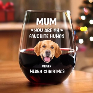 Custom Face Dog Cat - Mom, You’re My Favorite Human Wine Glass HA75 892944