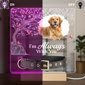 Custom Photo Your Light Will Always Shine In My Heart Memorial Acrylic Collar Frame TH10 894093