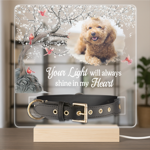 Custom Photo Your Light Will Always Shine In My Heart Memorial Acrylic Collar Frame TH10 894093