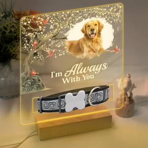 Custom Photo Your Light Will Always Shine In My Heart Memorial Acrylic Collar Frame TH10 894093