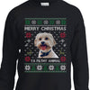 GeckoCustom Custom Photo Ugly Christmas Ya Filthy Animal Dog Cat Sweatshirt, Dog Lover Sweater Christmas For Kids Youth Crewneck Sweatshirt / KSW-Red / YXS
