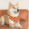 GeckoCustom Halloween Pattern Boo Pet Bandana Collar