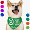 GeckoCustom Your Lucky Charm St. Patrick's Day Bandana Personalized Dog Cat Pet Bandana C621 23.5"x16"