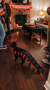 Kitty Costume For Halloween TH10 171105
