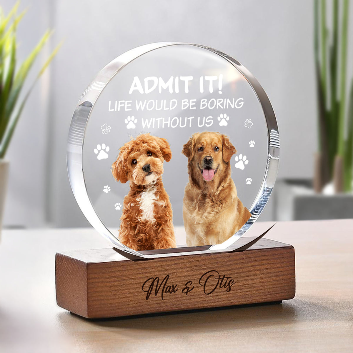 Custom Dog Cat Photo Life Would Be Boring Without Me Round Acrylic Frame Block HO82 894190