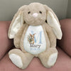 Custom Name Bunny Plush New Baby Gift, Baby Shower Gift From Family Members HA75 891980