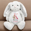 Custom Name Bunny Plush New Baby Gift, Baby Shower Gift From Family Members HA75 891980