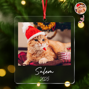 Custom Cat Photo Acrylic Ornament Christmas Gift For Cat Lovers LM32 895771