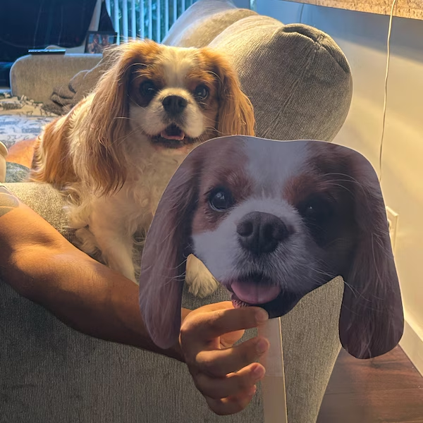 Custom Photo Funny Dog - Big Head Photo Face Fan HA75 892018