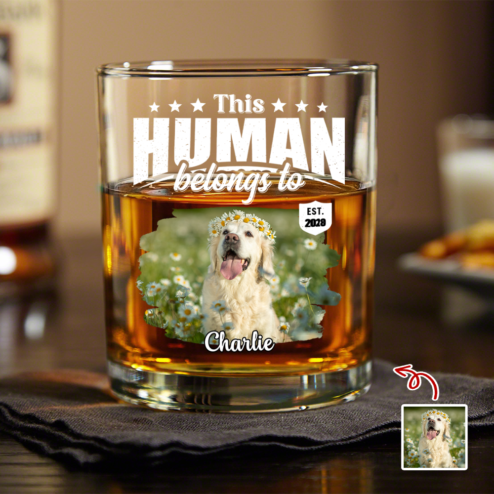 Custom Dog Cat Photo This Human Belongs To Rock Glass - Personalized Pet Lover Gift HA75 921368