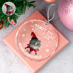 Custom Dog Cat Photo Life Would Be Boring Without Me Glass Ornament For Christmas TH10 894877